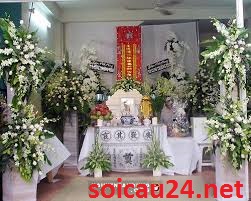mo thay dam ma danh con gi