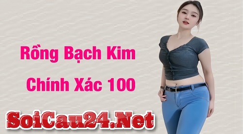 soi cầu 247 rồng bạch kim 15/06/2024