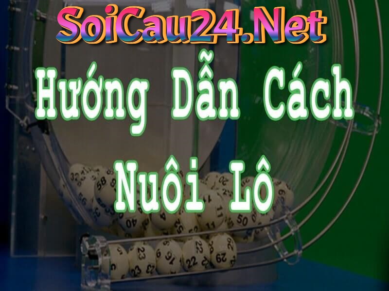 Nuôi lô khung Miền Bắc