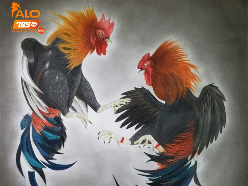 Xem đá gà live trên ALO789 có bình luận viên