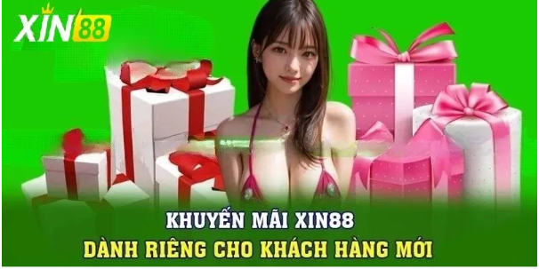 Các Điều Khoản và Điều Kiện Khi Tham Gia