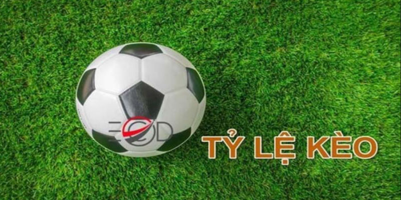 Phân tích từng loại tỷ lệ kèo, biết người biết ta, trăm trận trăm lời