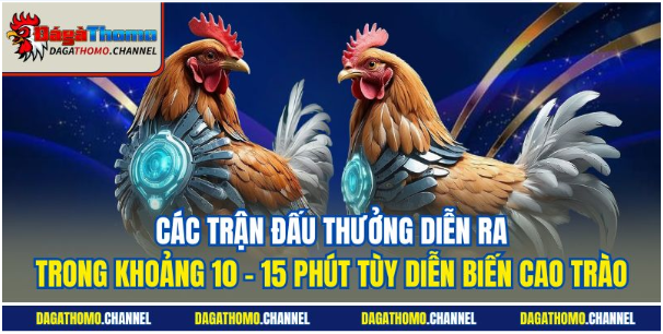 Bạn còn có thể tham gia đặt cược