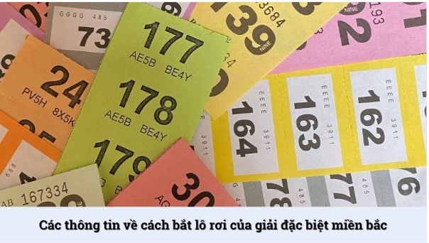 Bắt Lô Rơi Giải Đặc Biệt Miền Bắc Tại Qibet