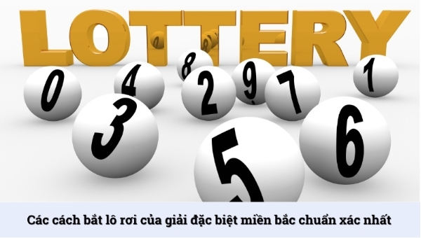 Các Cách Bắt Lô Rơi Giải Đặc Biệt