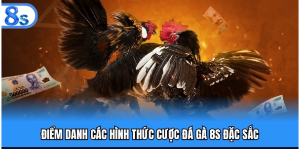 Các hình thức đá gà 8s