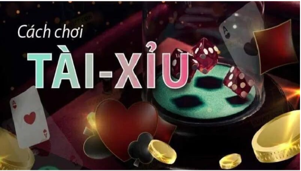 Cách Theo Dõi Cầu Tài Xỉu Tại VinBet