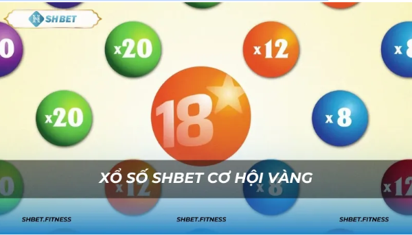 Đa dạng loại hình để người chơi