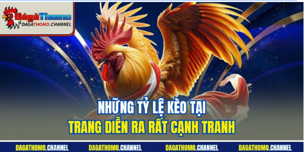 Đa dạng trường gà