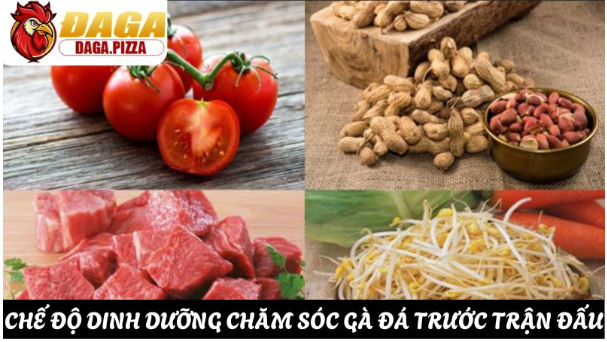 Dinh dưỡng cân bằng và nước sạch