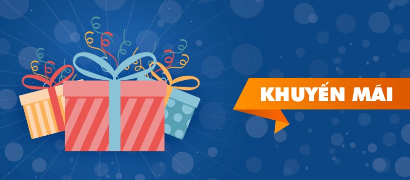 Khuyến mãi và quản trị vốn