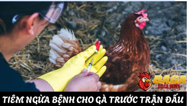Phòng bệnh chủ động