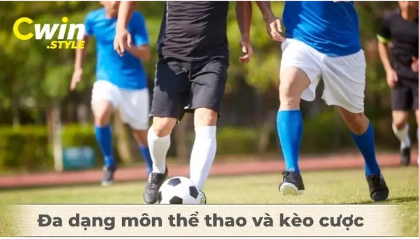 Trải nghiệm cá cược bóng đá