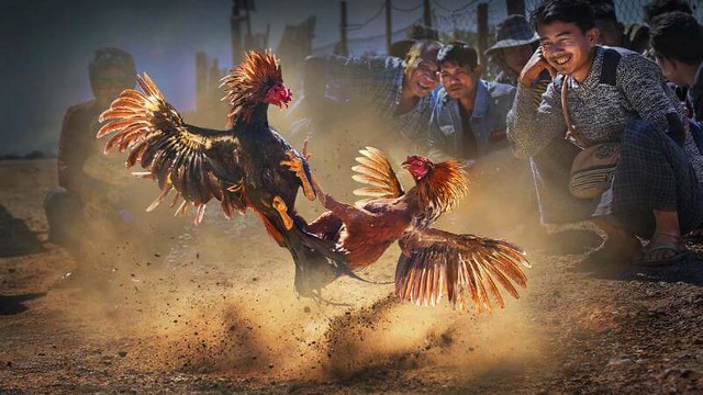 Trải nghiệm hình ảnh chân thực cùng EE88