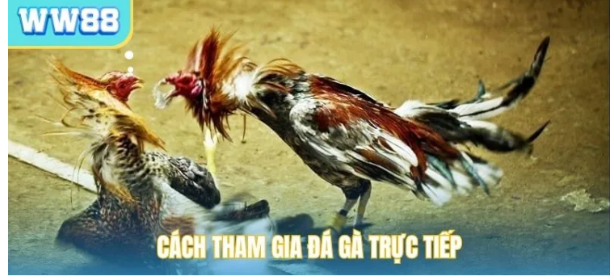 Trải nghiệm trên mọi nền tảng