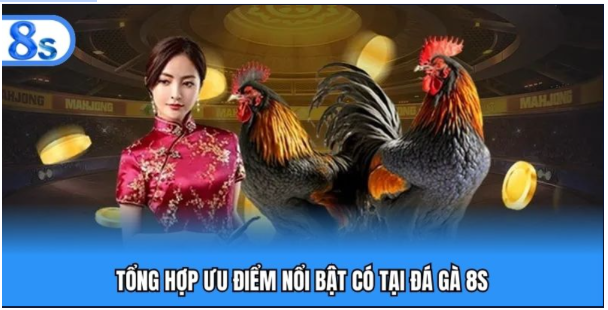 Ưu điểm nổi bật của đá gà 8s