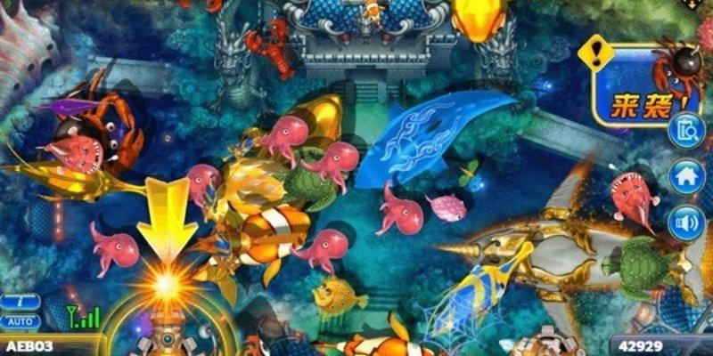Bắn cá winvn - Hiểu luật chuẩn, chơi mượt mà