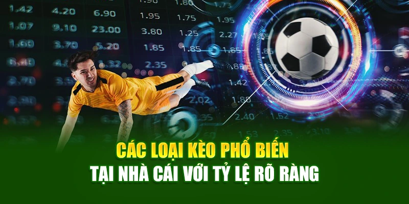 Các loại kèo phổ biến tại nhà cái với tỷ lệ rõ ràng