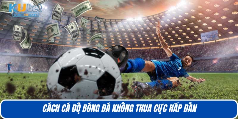 Cách cá độ bóng đá không thua cực hấp dẫn