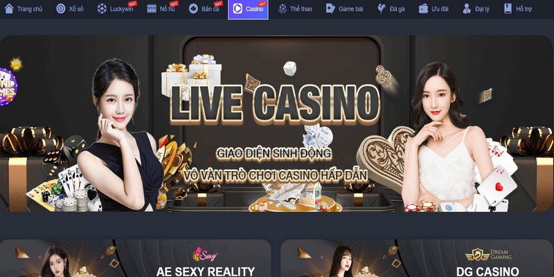 Những điều thú vị mà người chơi nền biết về casino online Luck8