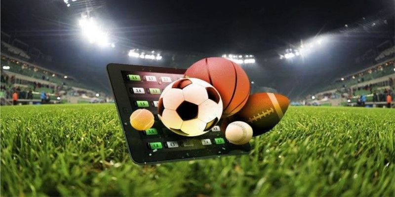 Kinh nghiệm đặt cược thể thao tại Luck8 cho người mới