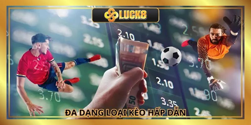 Top môn thể thao được yêu thích nhất tại nhà cái Luck8