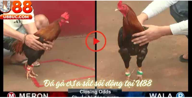 Công nghệ hiện đại nâng tầm giải trí