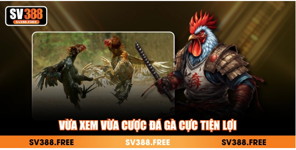 Giới thiệu tổng quan SV388