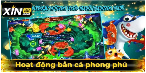 Khuyến mãi và dịch vụ hỗ trợ