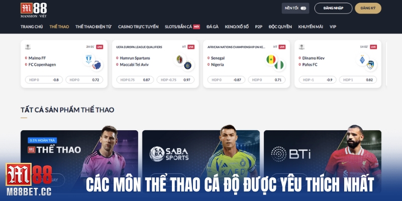 Các môn thể thao cá độ được yêu thích nhất