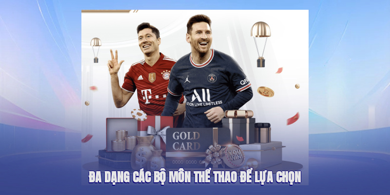 Nhiều lựa chọn môn thể thao – từ phổ biến đến chuyên biệt