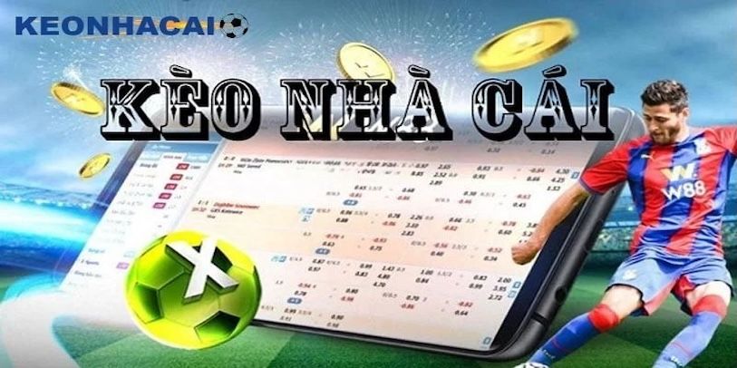 Giải thích dễ hiểu cho anh em người mới về kèo nhà cái Giải thích dễ hiểu cho anh em người mới về kèo nhà cái