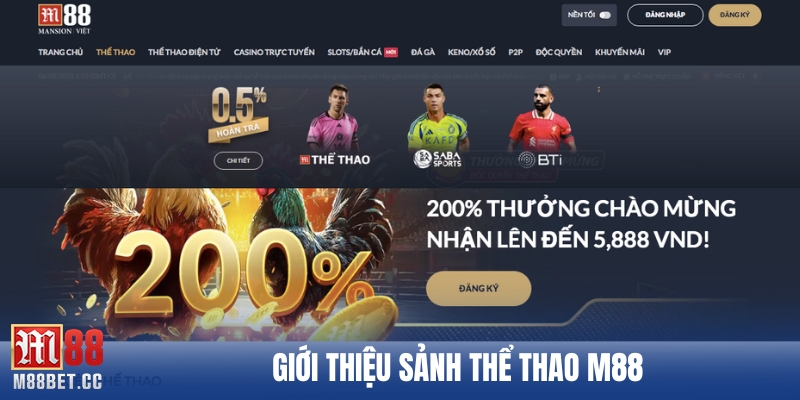 Giới thiệu sảnh thể thao M88