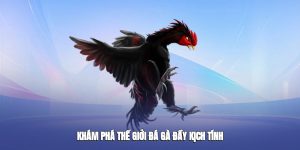 Khám phá thế giới Đá Gà Jun88 đầy kịch tính