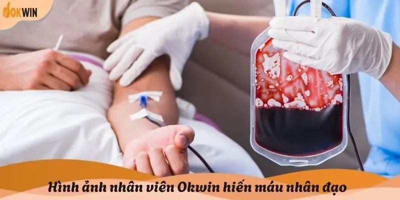 Lợi ích “ok win” dành cho người hiến máu Lợi ích “ok win” dành cho người hiến máu