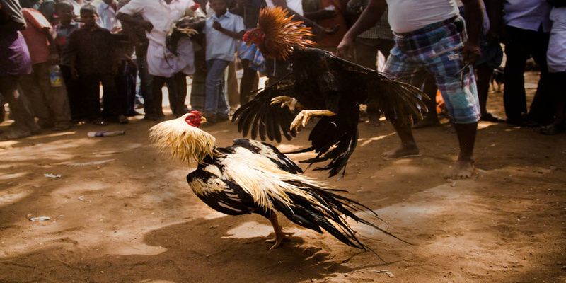 Nên chơi trải nghiệm 88clb Nên chơi trải nghiệm 88clb