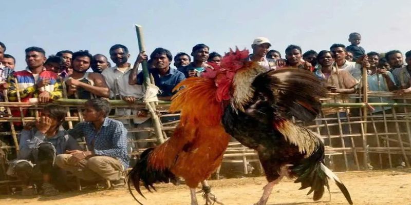 Tận lực chơi siêu đã Tận lực chơi siêu đã