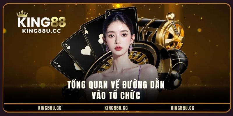 Tổng quan về đường dẫn vào tổ chức Tổng quan về đường dẫn vào tổ chức