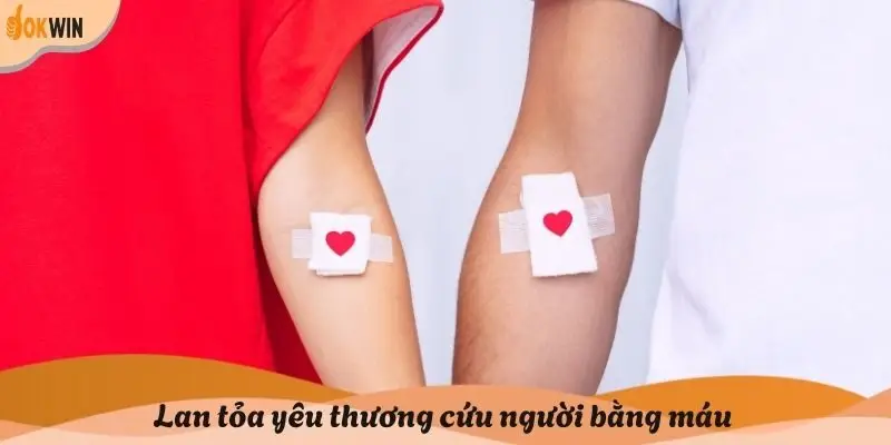 Trải nghiệm thực tế của người hiến máu Trải nghiệm thực tế của người hiến máu