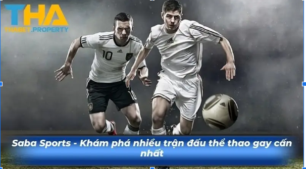Mẹo soi kèo chuẩn xác và hiệu quả tại thabet