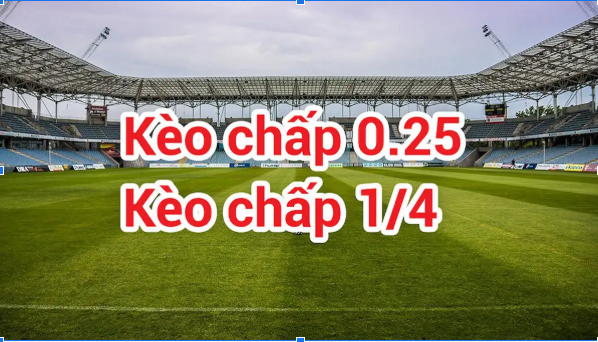 Cách đọc và đặt kèo chuẩn xác