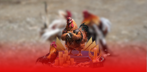 Các hình thức đá gà thú vị tại SV388