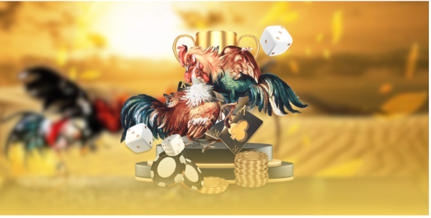 Tạo cơ hội để rèn luyện chiến lược