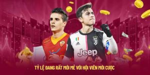 Tỷ lệ đang rất mới mẻ với hội viên mới cược 