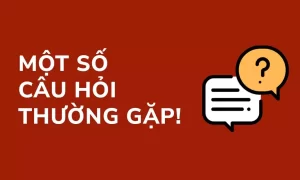 Câu hỏi về dịch vụ tại nhà cái S666