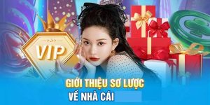 Hành trình hình thành và triết lý phát triển của 77Ball Hành trình hình thành và triết lý phát triển của 77Ball