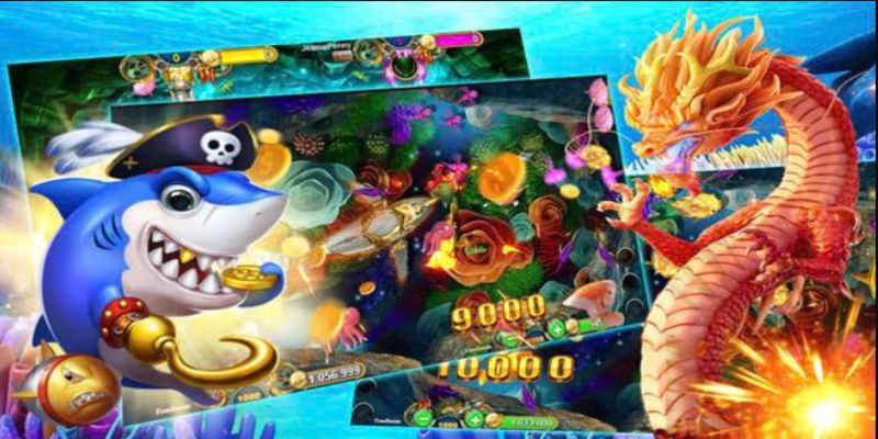 kinh nghiệm quản lý vốn bắn cá