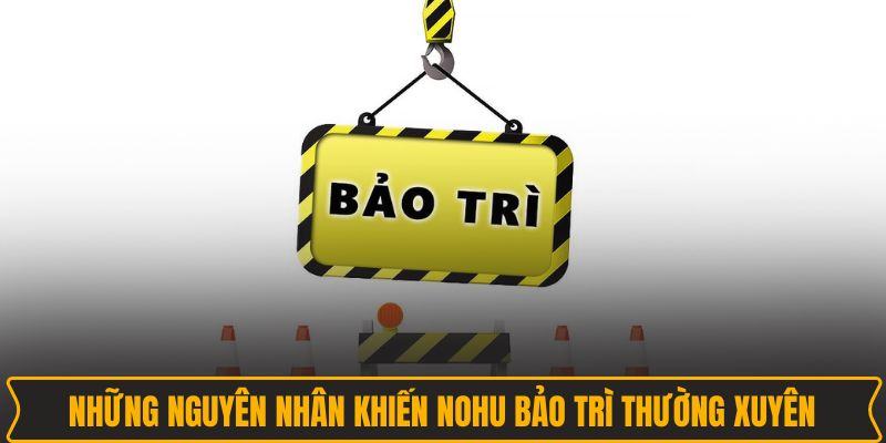 Những nguyên nhân khiến NOHU bảo trì thường xuyên Những nguyên nhân khiến NOHU bảo trì thường xuyên