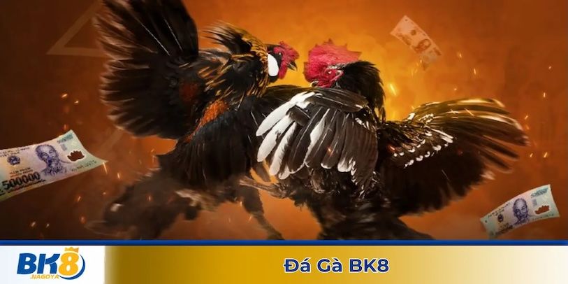So sánh đá gà BK8 và các nền tảng đá gà online khác