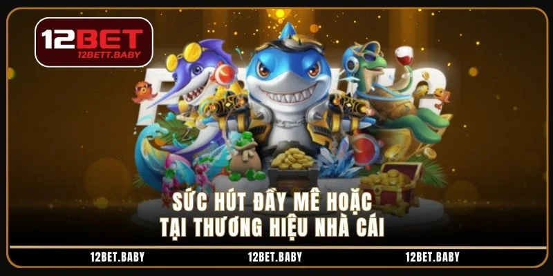 Sức hút đầy mê hoặc tại thương hiệu nhà cái 
